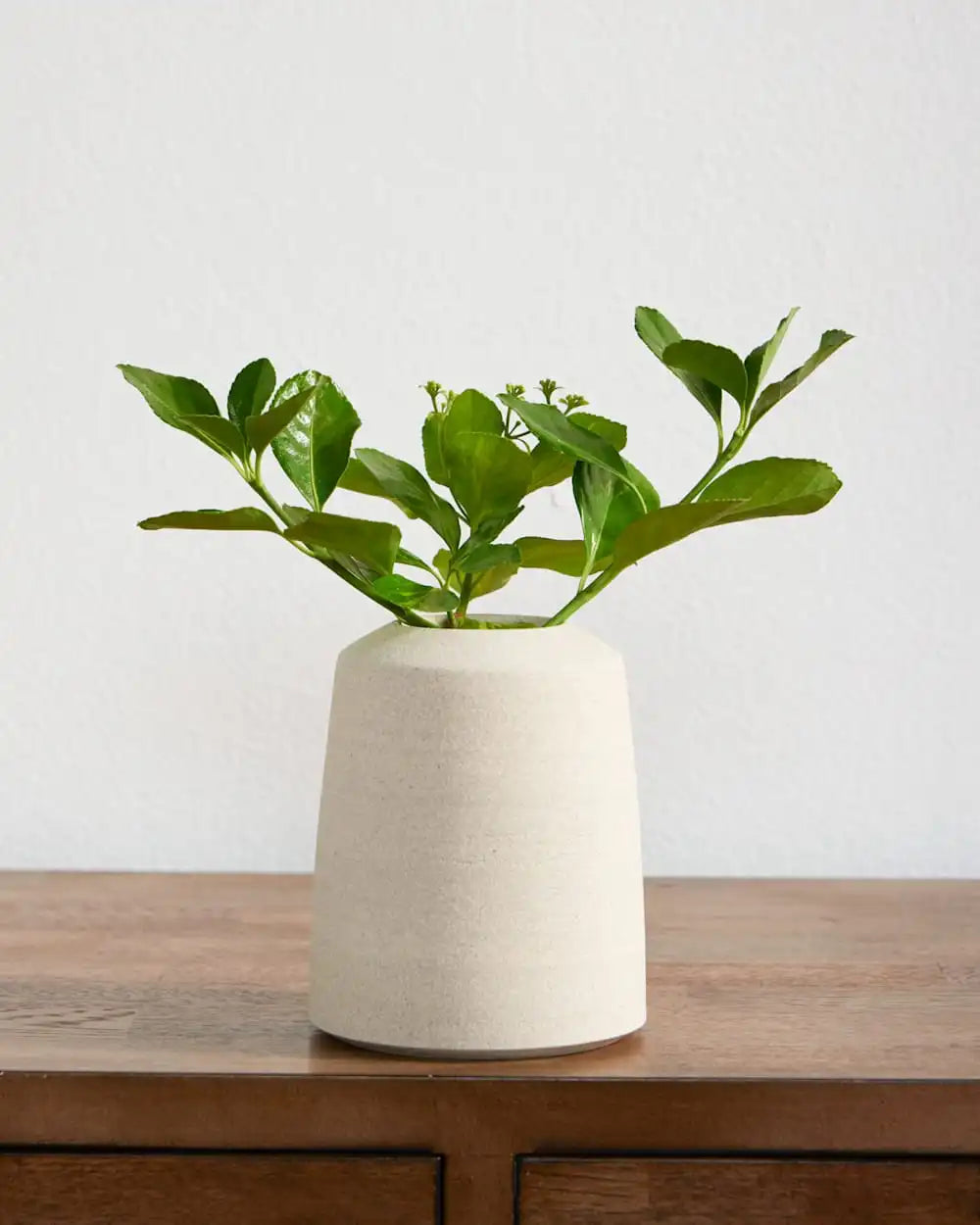 HANDMADE STONEWARE & WOOD BUD VASE