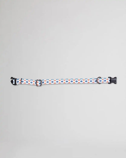 FALCON COVE ADVENTURE COLLAR