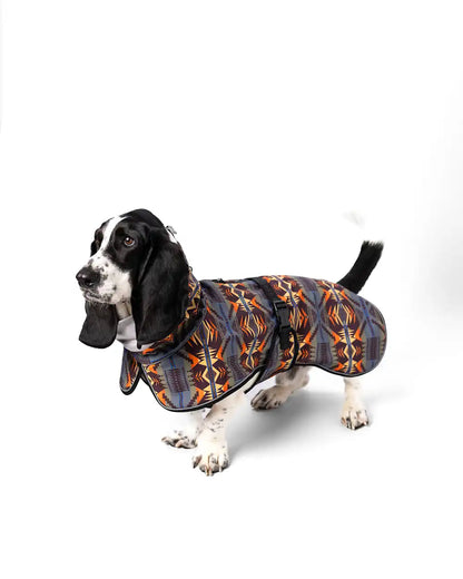 MYSTIC LAKE PET ADVENTURE RAIN COAT