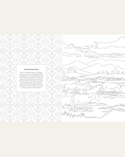 COLORING BOOK