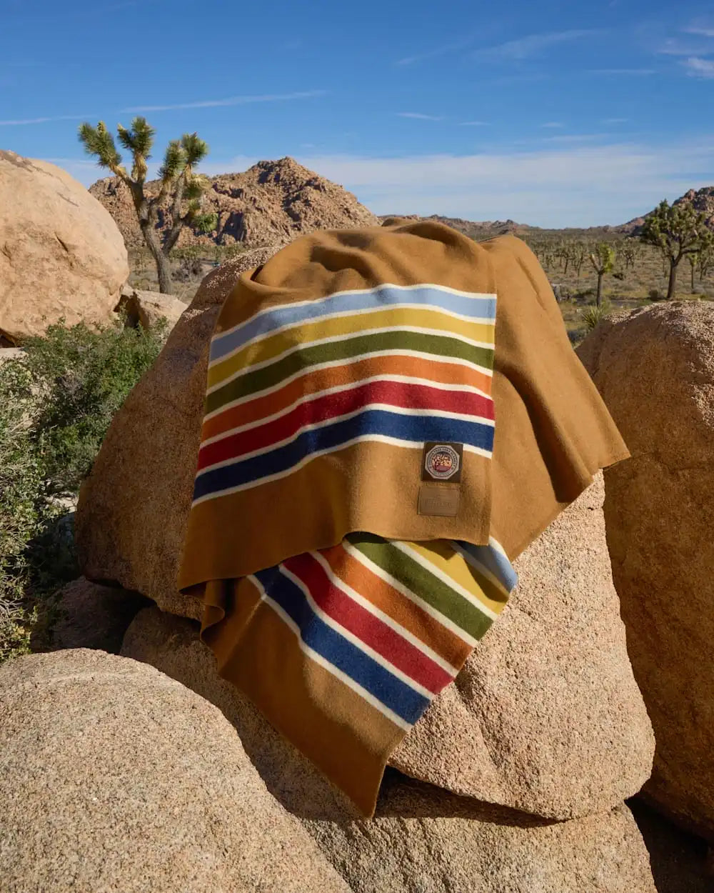 JOSHUA TREE NATIONAL PARK BLANKET