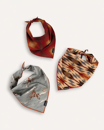 PET BANDANA 3PK