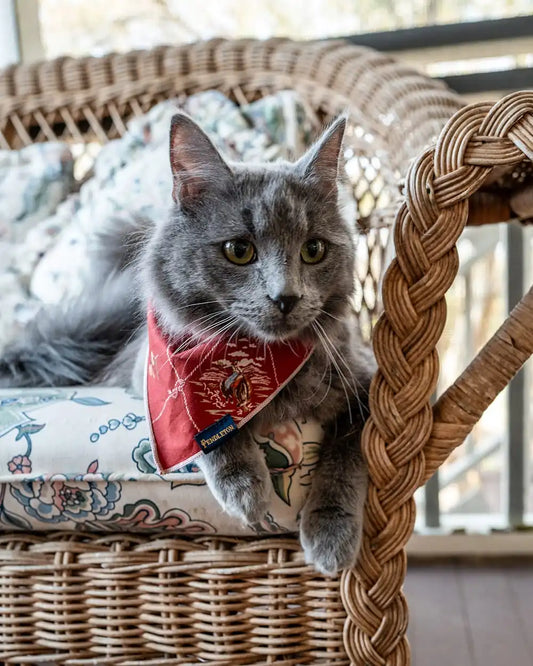 PET BANDANA 3PK