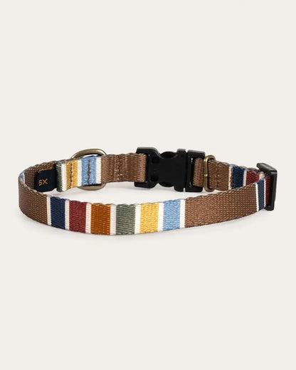 JOSHUA TREE NATIONAL PARK ADVENTURE COLLAR