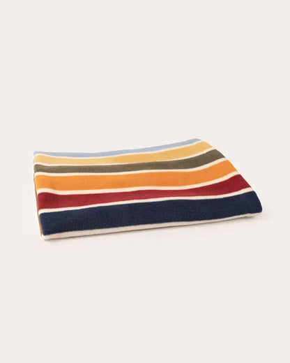 JOSHUA TREE NATIONAL PARK PET CRATE BLANKET