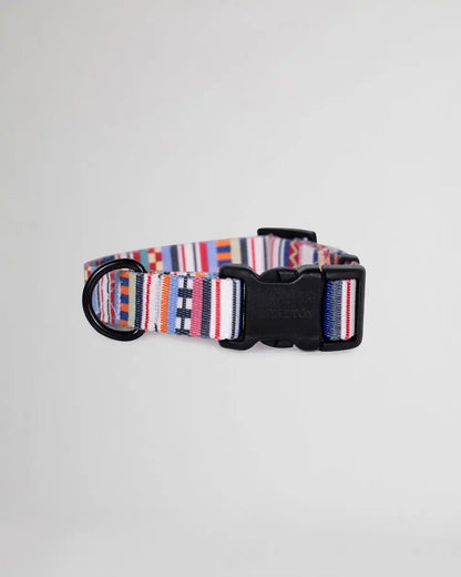 TAMIAMI ADVENTURE COLLAR
