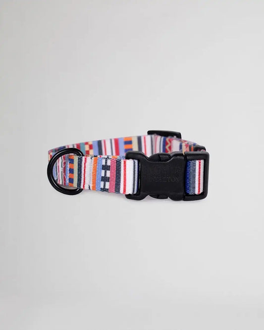 TAMIAMI ADVENTURE COLLAR