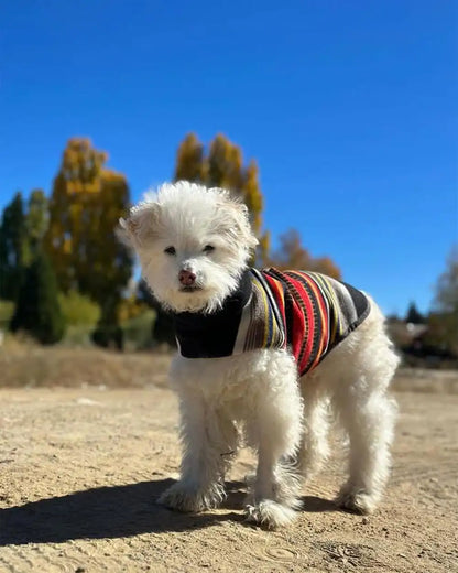 ACADIA NATIONAL PARK PET VEST