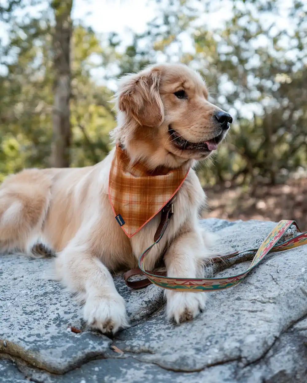 PET BANDANA 3PK