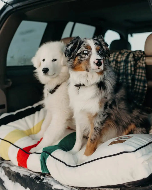 GLACIER NATIONAL PARK PET BED - NAPPER