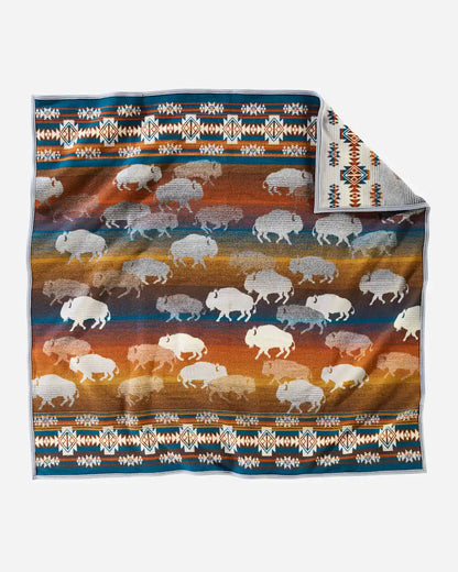 PRAIRIE RUSH HOUR THROW AND PILLOW 2 PACK