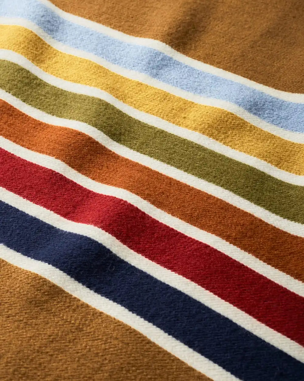 JOSHUA TREE NATIONAL PARK THROW WITH CARRIER