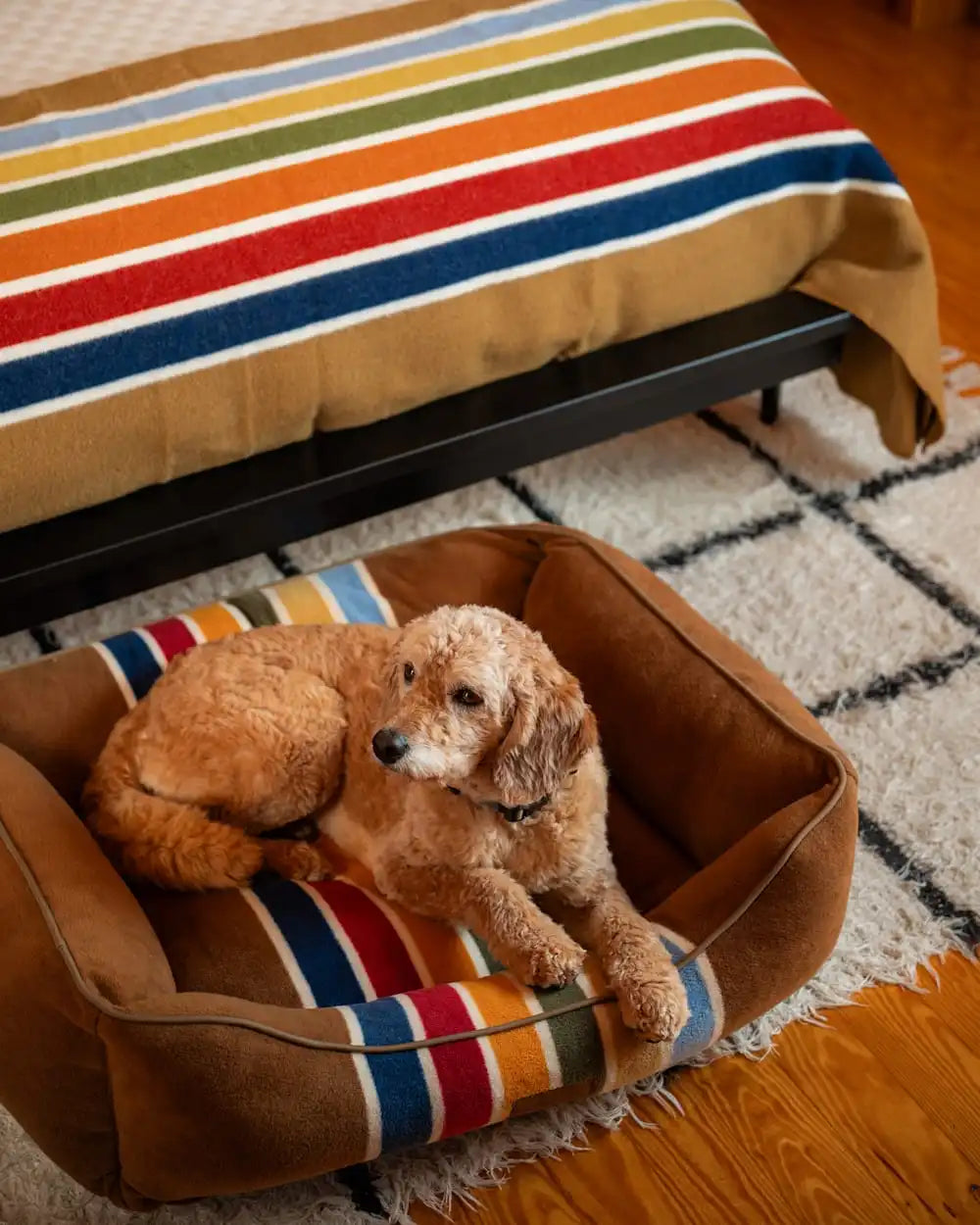 JOSHUA TREE NATIONAL PARK PET BED - KUDDLER