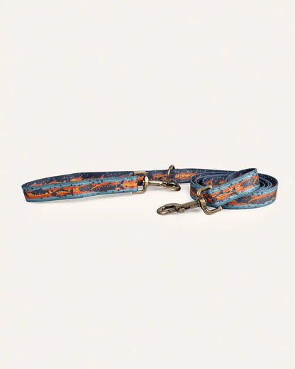 SALMON FALLS ADVENTURE LEASH