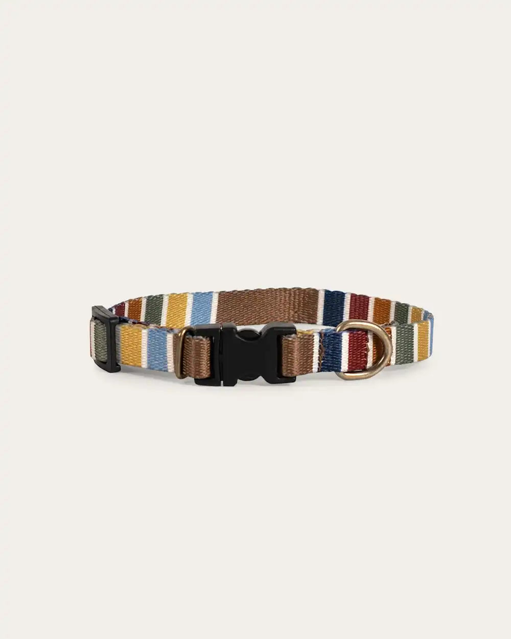 JOSHUA TREE NATIONAL PARK ADVENTURE COLLAR