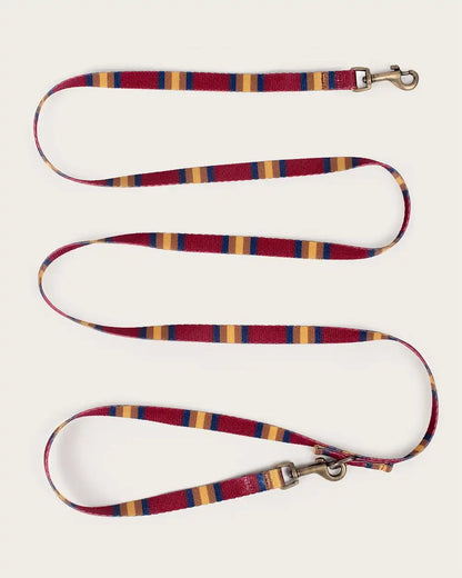 ZION NATIONAL PARK ADVENTURE LEASH