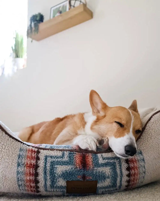 HARDING PET BED - KUDDLER