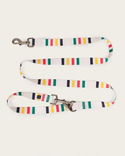 GLACIER NATIONAL PARK ADVENTURE LEASH