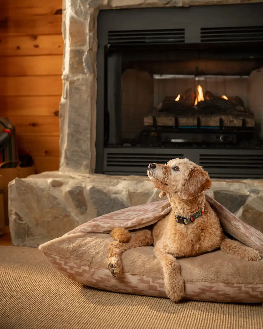 GINGER MESILLA BURROW PET BED