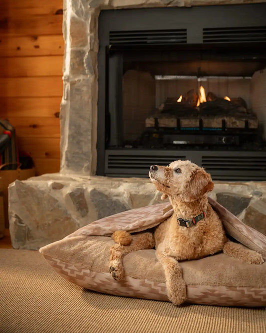 GINGER MESILLA BURROW PET BED