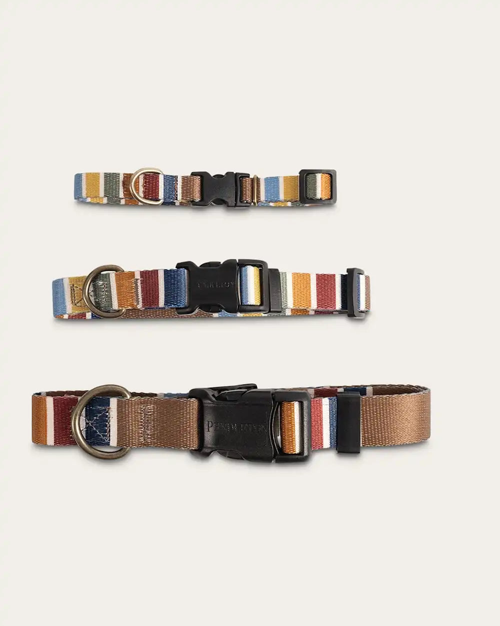 JOSHUA TREE NATIONAL PARK ADVENTURE COLLAR