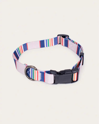 YELLOWSTONE NATIONAL PARK ADVENTURE COLLAR