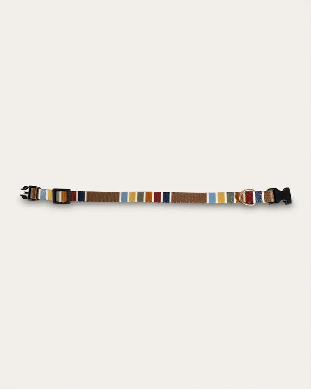 JOSHUA TREE NATIONAL PARK ADVENTURE COLLAR