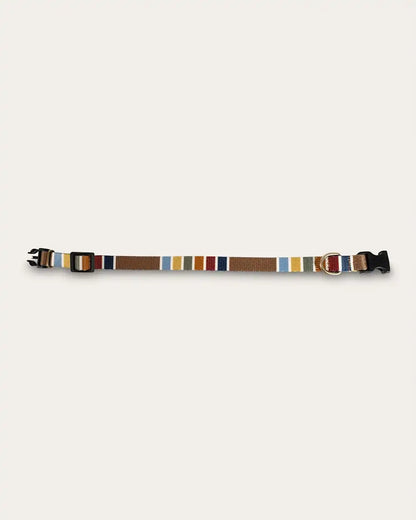JOSHUA TREE NATIONAL PARK ADVENTURE COLLAR