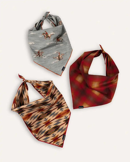PET BANDANA 3PK