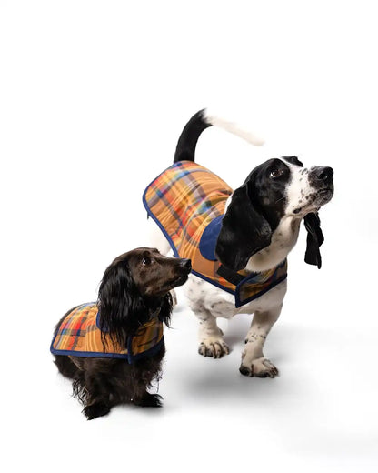 DESERT PLAID PET COAT