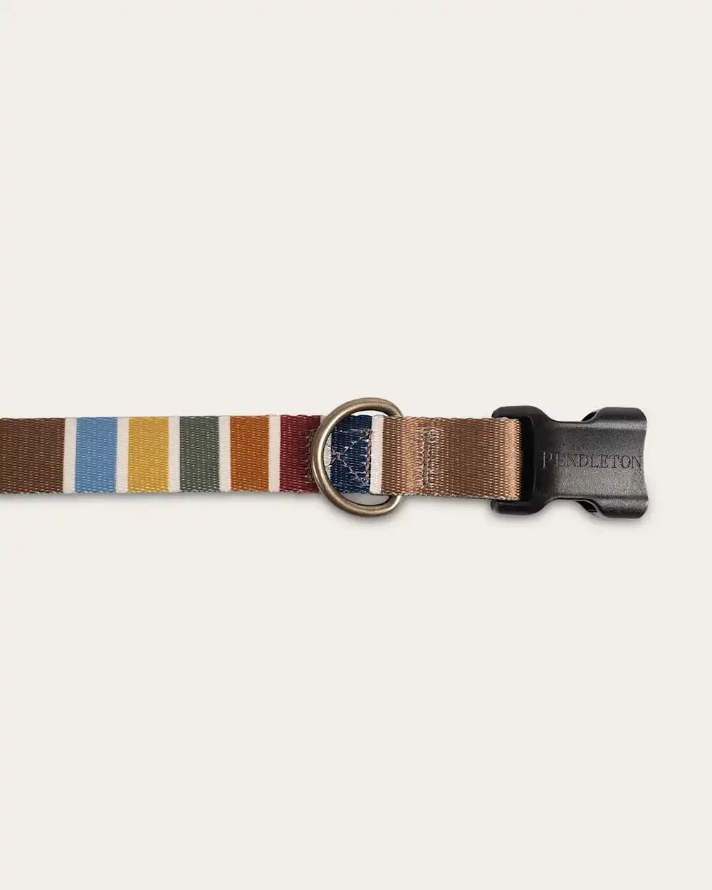JOSHUA TREE NATIONAL PARK ADVENTURE COLLAR