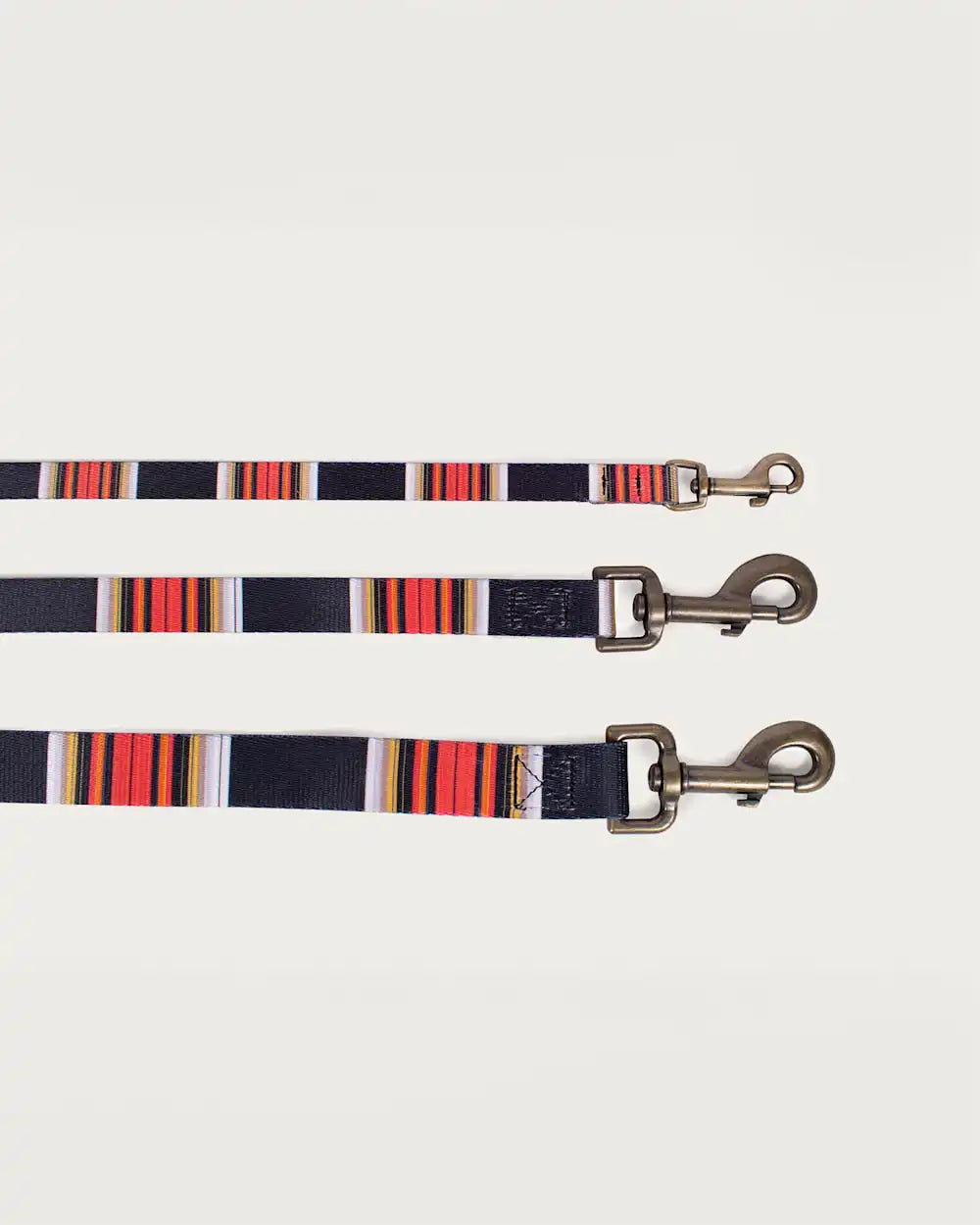 ACADIA NATIONAL PARK ADVENTURE LEASH