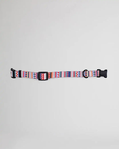 TAMIAMI ADVENTURE COLLAR