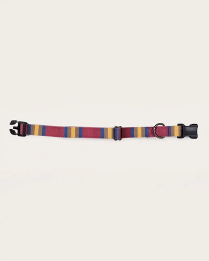 ZION NATIONAL PARK ADVENTURE COLLAR