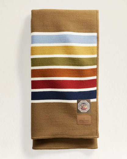 JOSHUA TREE NATIONAL PARK THROW WITH CARRIER