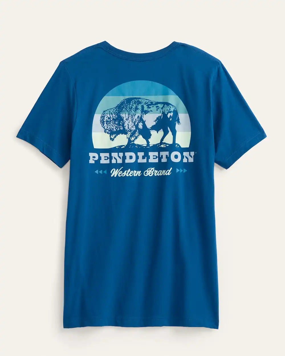 MEN'S SHORT-SLEEVE BISON SUNSET GRAPHIC TEE