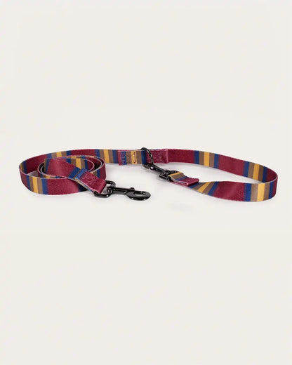 ZION NATIONAL PARK ADVENTURE LEASH