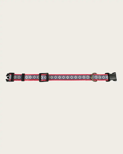 SAN MIGUEL ADVENTURE COLLAR