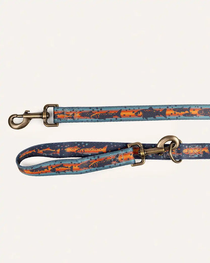 SALMON FALLS ADVENTURE LEASH